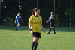 DSC06241