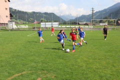 IMG_6301